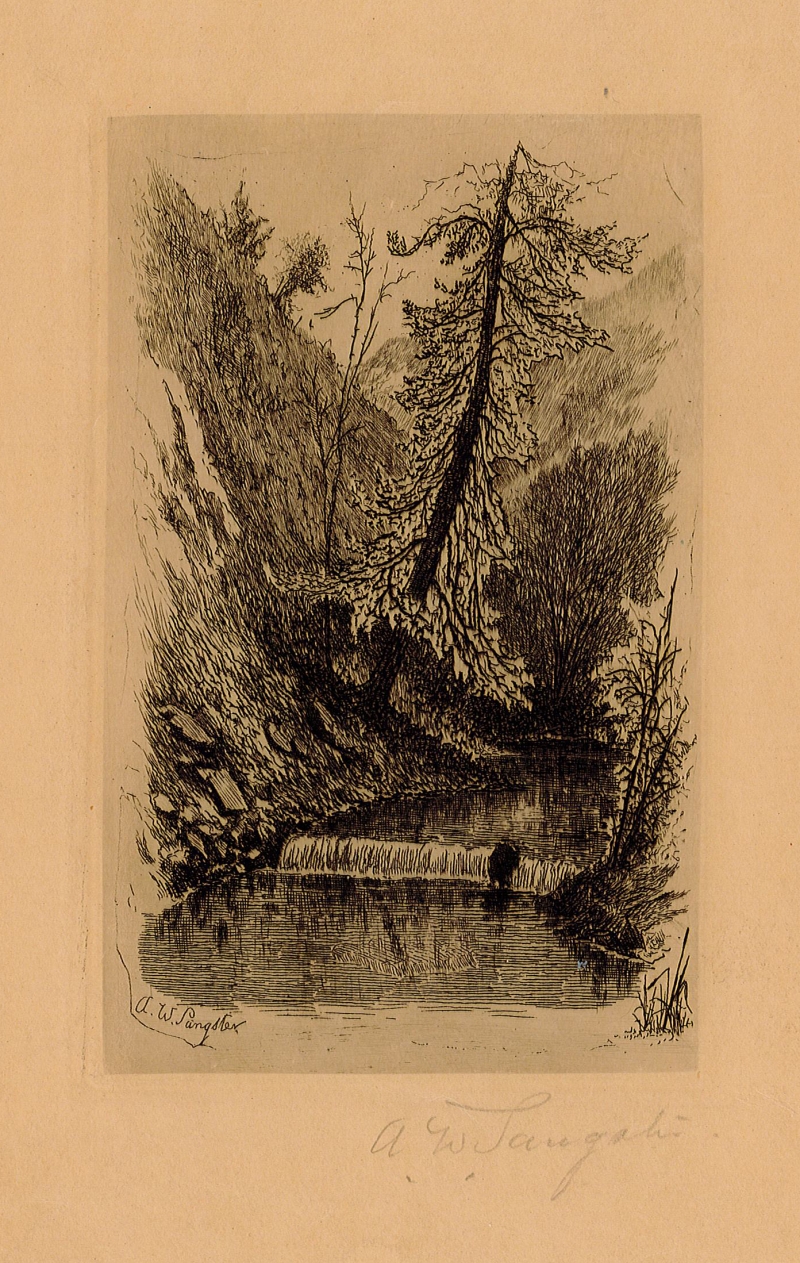 Untitled [Tree and Waterfall]