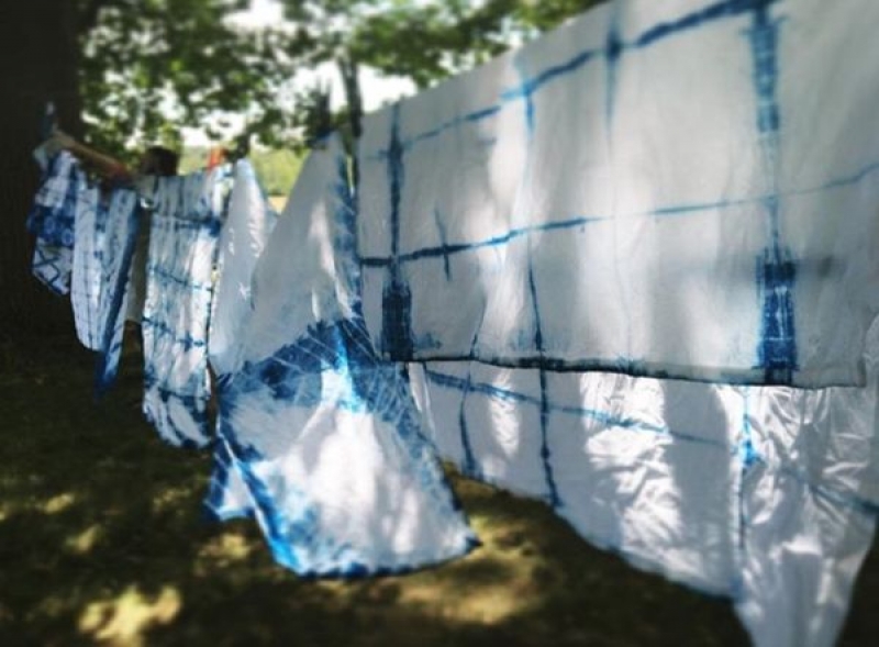 Three-Day Natural Dyeing Workshop