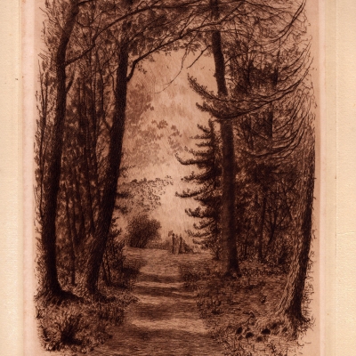 The Road to Terrapin Point—Goat Island, 1888