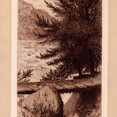 Bridge to swiss Glen at Whirlpool—Canada Side, 1888