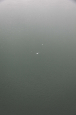 Max Collins Project documentation (Niagara River), 2016.