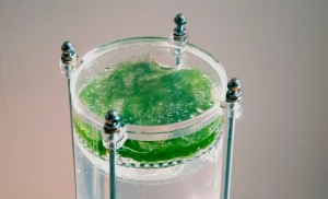 Byron Rich, Protista Imperialis (v 2.1), 2014, bioreactor unit contains algae, arduino, LED array, air pump; digital and computer components include microphone, webcam, computer and live network links.