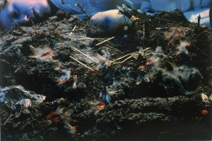 Person on dirt and cobwebs