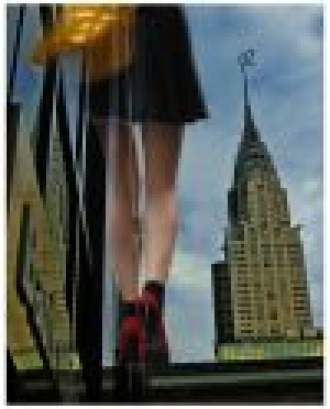 Photo by Elaine Kessel, Silver medal winner (silver) in BSA previous catalog exhibit .