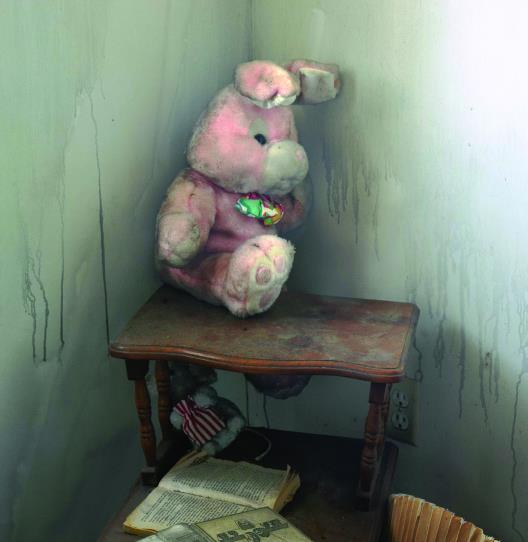 Stuffed Rabbit with Bible